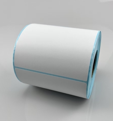 Adesivo termico diretto DT Adesivo per la stampa di codici a barre con rivestimento in vetrino blu