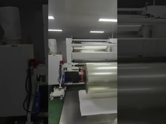 Materiale di etichetta trasparente 50um trasparente BOPP PP colla acrilica trasparente PET liner WG4514